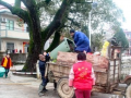 都昌有一支巾帼志愿者服务队 清洁家园义务劳动（组图） (1)